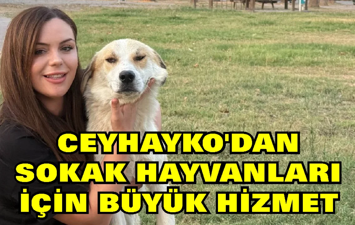İrem Opak: ‘Sahipsiz Canların Sesi Olmaya Devam Edeceğiz’
