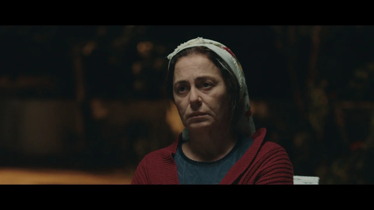 Adana Altın Koza’da Yarışacak Filmler Belli Oldu